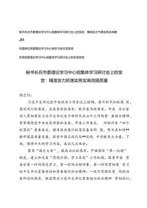 3篇 2024年秘书长在市委理论学习中心组集体学习研讨会上的发言：精准发力抓落实 务实高效提质量.docx