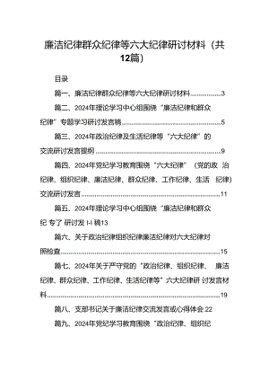 廉洁纪律群众纪律等六大纪律研讨材料(12篇集合).docx