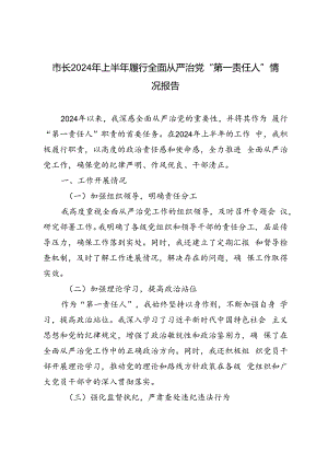 2篇 市长2024年上半年履行全面从严治党“第一责任人”情况报告.docx