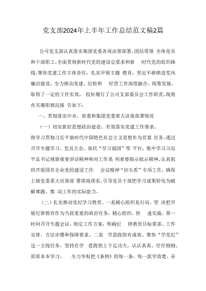 党支部2024年上半年工作总结范文稿2篇.docx