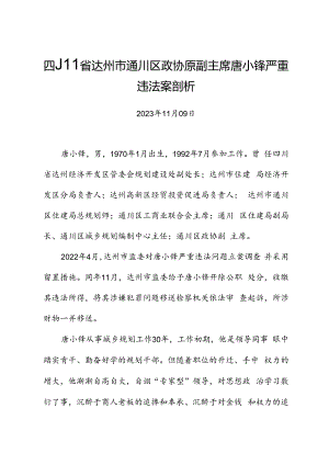 党纪学习教育∣案例剖析：四川省达州市通川区政协原副主席唐小锋严重违法案剖析.docx