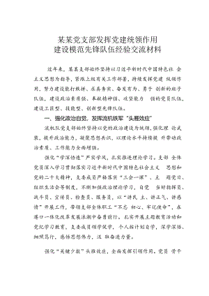 某某党支部发挥党建统领作用建设模范先锋队伍经验交流材料.docx