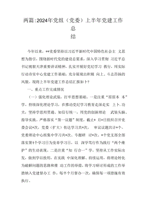 两篇：2024年党组(党委)上半年党建工作总结.docx