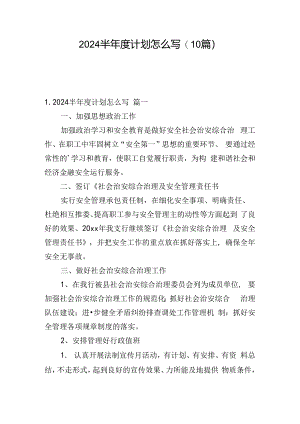 2024半年度计划怎么写(10篇).docx