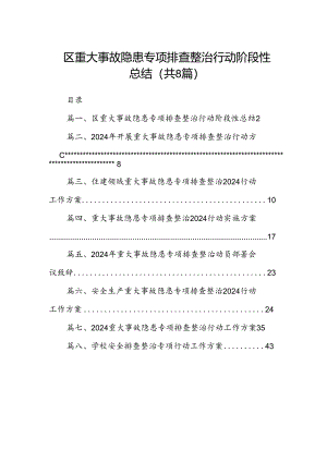 2024区重大事故隐患专项排查整治行动阶段性总结8篇（精选版）.docx
