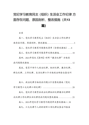 党纪学习教育民主（组织）生活会工作纪律方面存在问题、原因剖析、整改措施13篇（精选）.docx