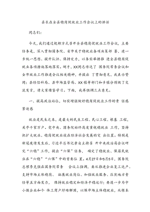 县长在全县稳岗促就业工作会议上的讲话.docx