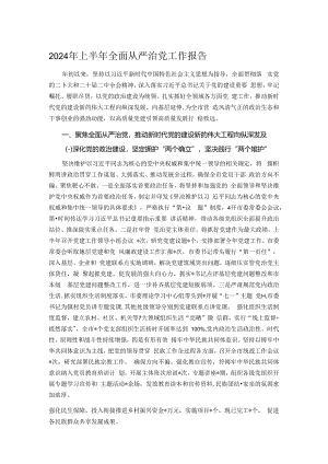 2024年上半年全面从严治党工作报告.docx