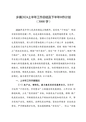 专项总结∣2024年∣半年总结：乡镇2024上半年工作总结及下半年工作计划（3000字）.docx