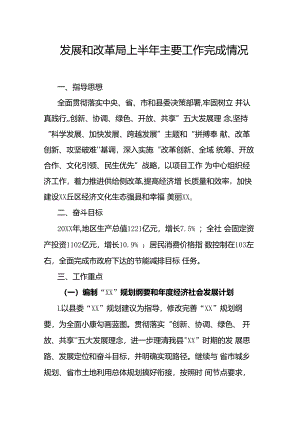 发展和改革局上半年主要工作完成情况.docx