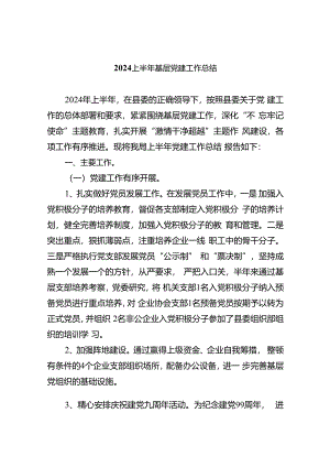 基层党支部2024上半年党建工作总结报告9篇（最新版）.docx