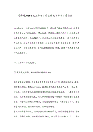 司法局2024年度上半年工作总结及下半年工作安排.docx