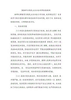 2024年专题民主生活会对照检查提纲.docx