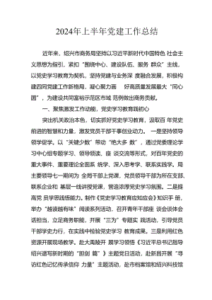 2024年关于开展上半年党建工作总结 合计9份.docx