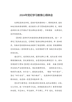 2024年党纪学习教育关于学习新版中国共产党纪律处分条例的心得体会交流发言十七篇.docx