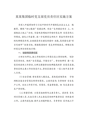 某某集团临时党支部党员责任区实施方案.docx