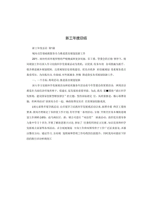 新工年度总结.docx