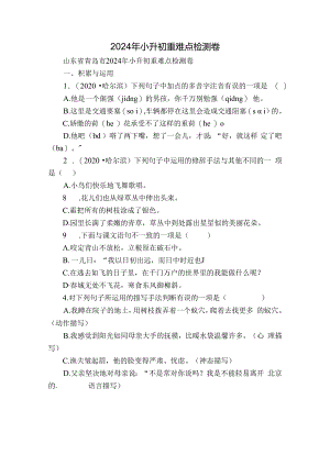 2024年小升初重难点检测卷.docx