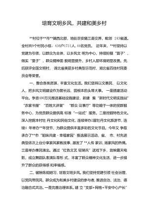 文明村镇创建交流发言.docx