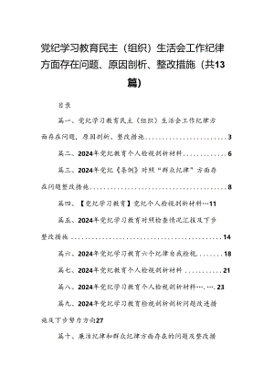 党纪学习教育民主（组织）生活会工作纪律方面存在问题、原因剖析、整改措施13篇（精选版）.docx