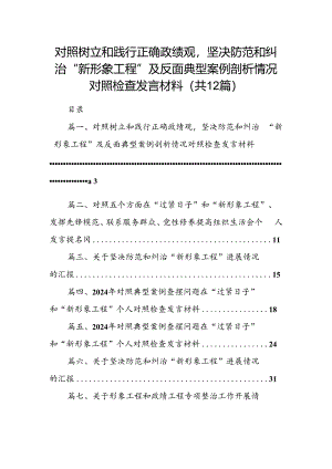 对照树立和践行正确政绩观坚决防范和纠治“新形象工程”及反面典型案例剖析情况对照检查发言材料（共12篇）.docx