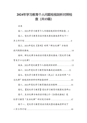 2024年学习教育个人问题检视剖析对照检查13篇（精选版）.docx