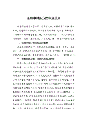 巡察中财务方面审查重点.docx