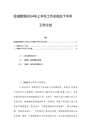 区城管局2024年上半年工作总结及下半年工作计划.docx