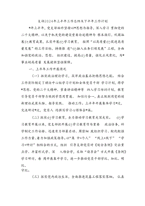 支部2024年上半年工作总结及下半年工作计划.docx
