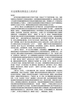 在巡视整改推进会上的讲话.docx