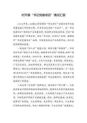 党建项目情况汇报（村党支部书记）.docx