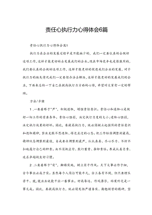 责任心执行力心得体会6篇.docx