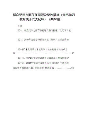 （16篇）群众纪律方面存在问题及整改措施(党纪学习教育关于六大纪律)（合集）.docx