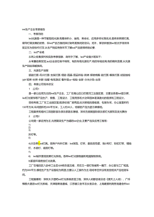 LED考察报告.docx