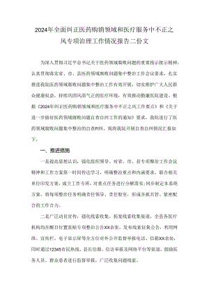 2024年全面纠正医药购销领域和医疗服务中不正之风专项治理工作情况报告二份文.docx