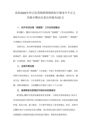 医院2024年纠正医药购销领域和医疗服务中不正之风集中整治自查自纠报告2份文.docx