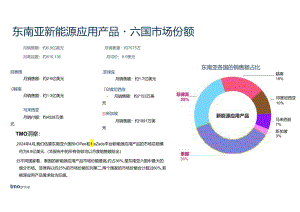2024年东南亚新能源应用产品电商行业市场洞察报告.docx