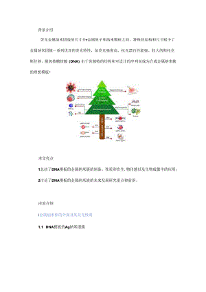 DNA模板荧光金属纳米团簇的合成及应用.docx
