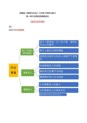 部编版六年级道德与法治下册期末复习知识清单.docx