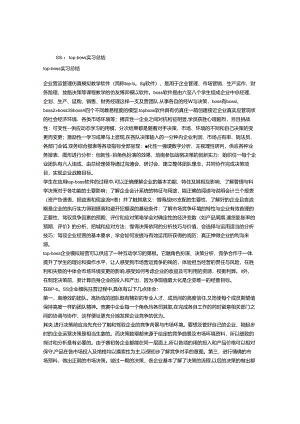 TOP-BOSS实习心得体会.docx