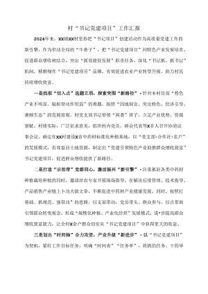 村“书记党建项目”工作汇报.docx