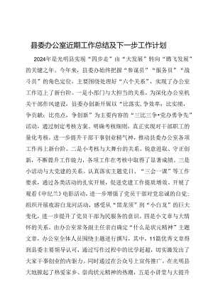 近期工作总结及下一步工作计划（县委办公室）.docx