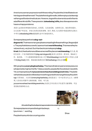 Americans-use-many-expressions-with-the-word-dog.docx