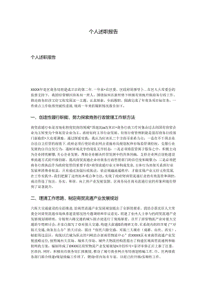 个人述职报告.docx