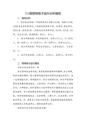局领导班子运行分析报告.docx