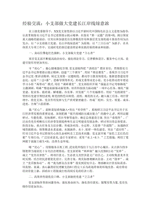 经验交流：小支部做大党建 长江岸线绿意浓.docx