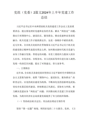 党组(党委)2篇文2024年上半年党建工作总结.docx