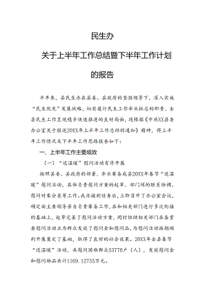 民生办关于上半年工作总结暨下半年工作计划的报告.docx