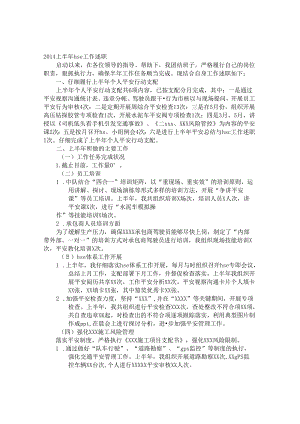HSE述职报告.docx