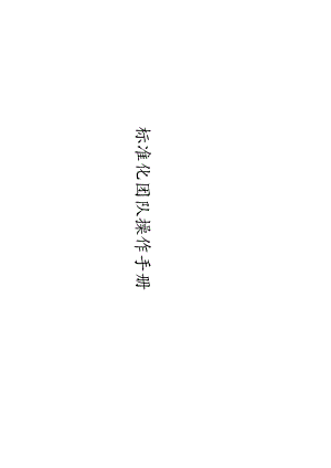 标准团队管理操作手册.docx